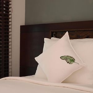 Viennot Twin Room No Window minibar